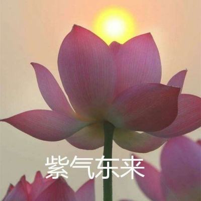 上古搜神记最新手机版(暂未上线)v1.1.0 安卓中文版